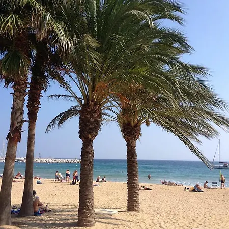 Mas Provençal * Le Lavandou