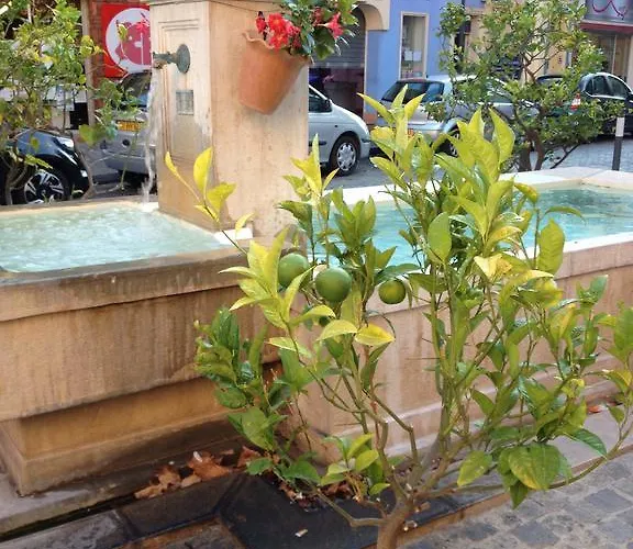 Willa Mas Provencal Le Lavandou